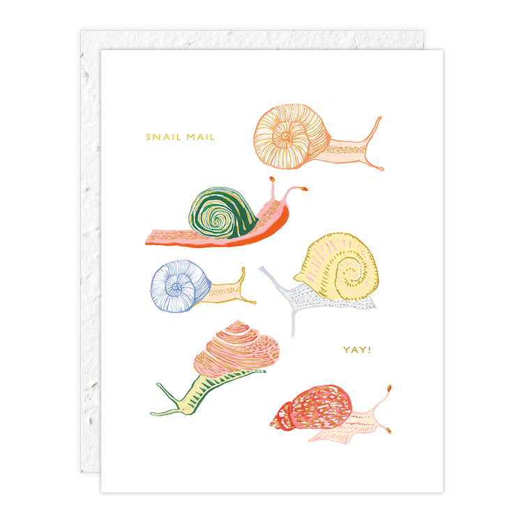 Snail Mail Card