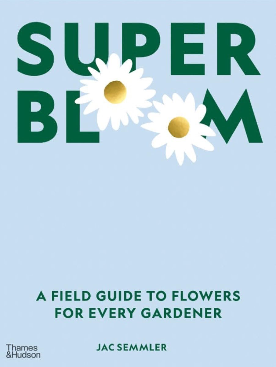 Super Bloom by Jac Semmler