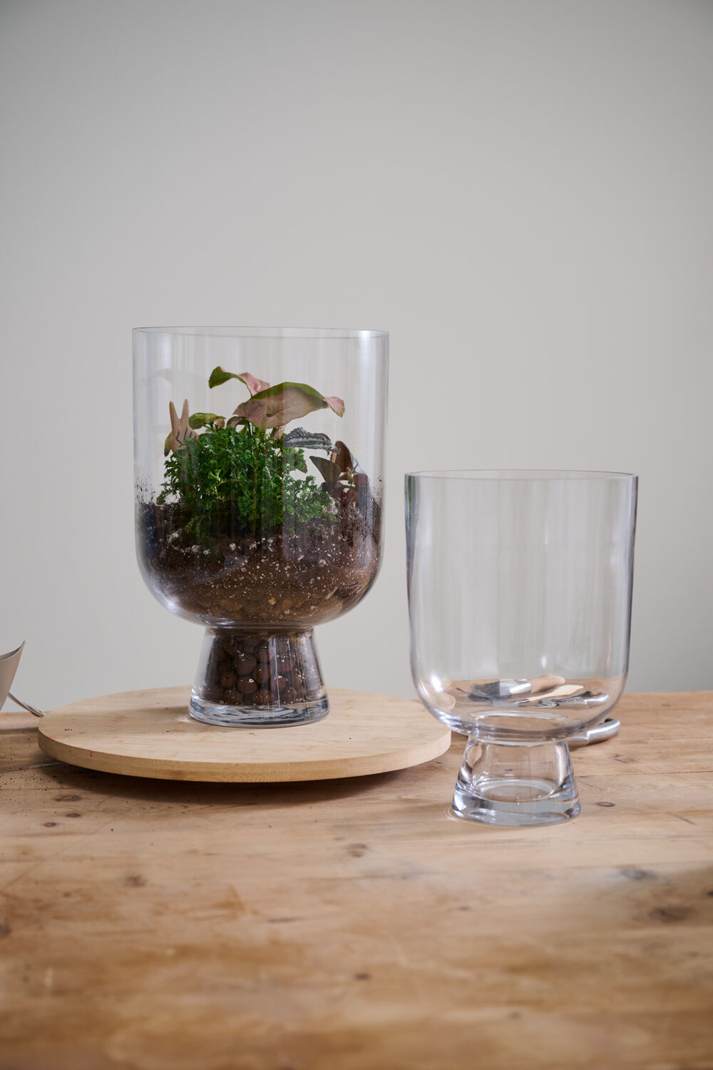 Reservoir Terrarium